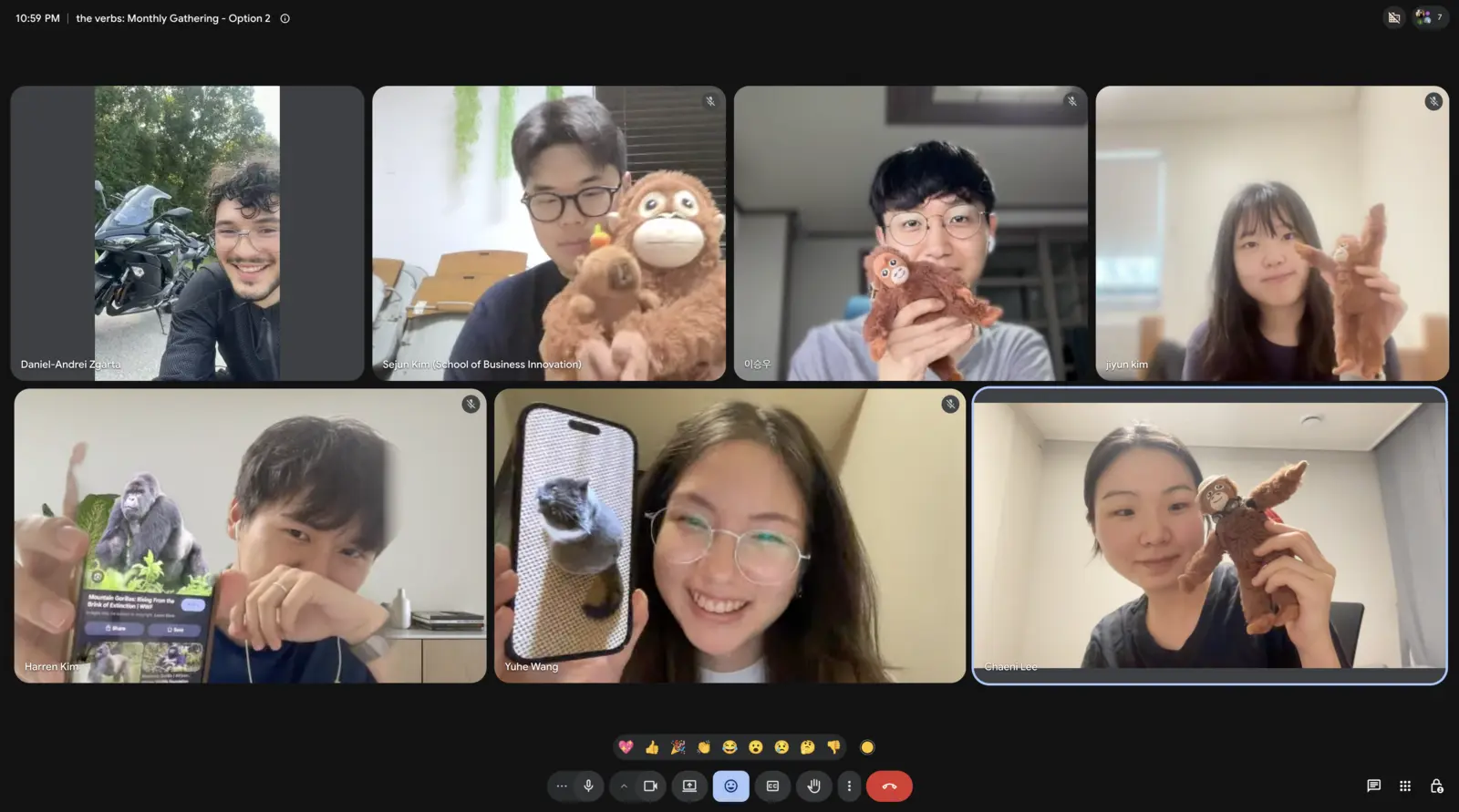 The Verbs Project team