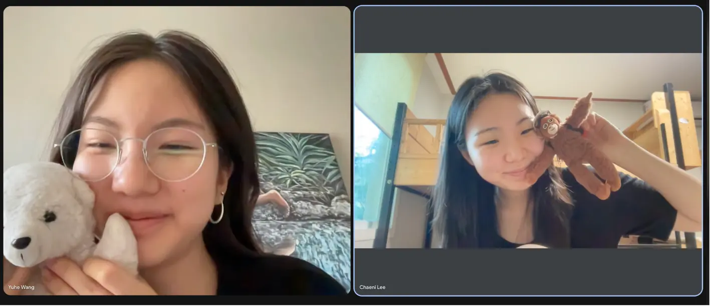 Team reflection call