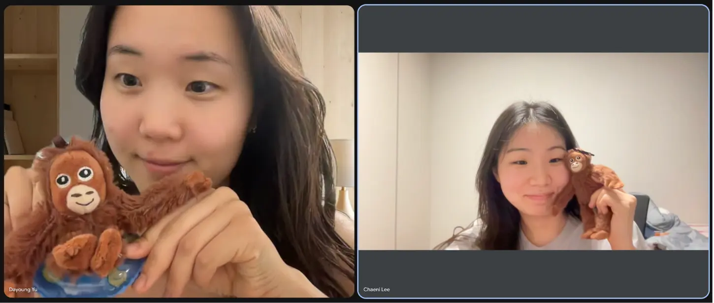 Team reflection call